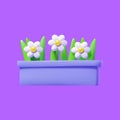 Long outdoor decorative summer pot with white flowers. 3D vector