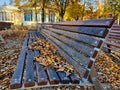 Long outdoor park benches with autumn leaves on it