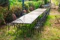 Long Outdoor Table with Metal Chairs surrounded by Green Plants