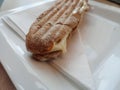 Long panini served on a plate Royalty Free Stock Photo