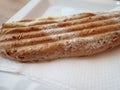 Long panini served on a plate Royalty Free Stock Photo