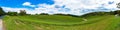 Long panorama of vineyard with green grape vines on a hills Royalty Free Stock Photo