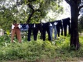 Long pants hung on a clothesline by a tree