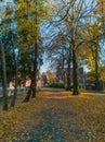 Long path between autumn trees full of fall leaves