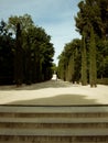 Long pathway surrounded by trees and greens under the blue sky in a park