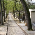 Long paved alley - Pere Lachaise cemetery Royalty Free Stock Photo