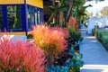 A long paved footpath along the canal with people walking and gorgeous pink and orange plants and lush green trees