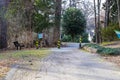 A long paved path in the park with black and yellow poles at the end