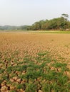 Long peak of dry in october Royalty Free Stock Photo