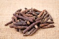 Long pepper or Piper longum.