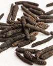 Long pepper (Piper longum) Royalty Free Stock Photo