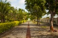 Long Perspective Walkway Lined with Lush Hedges and Palm Trees Royalty Free Stock Photo