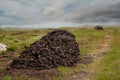 Long pile of freshly cut turf in a bog. Traditional Irish fossil fuel for heating houses with brown color Royalty Free Stock Photo