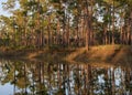 Long Pine Key Lake forest reflections