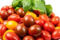 Long Plum Tomato Group Isolated, Fresh Small Cherry Tomatoes