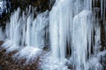 Long, pointed icicles draped on a cliff in Connecticut