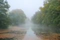 Long pond and forest park trees in fog