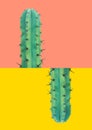Long prickly green cactus with thorns on duo tone pink yellow background. Creative poster banner in pop art style