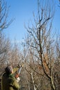 Long pruning shears on extension pole