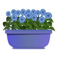 Long purple pot of blue flowers in realistic style. Flower bed for the window Royalty Free Stock Photo