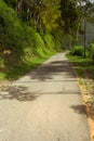 A long, quiet road on the edge of Lake