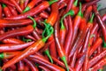 Long red chile peppers -- Capsicum annuum Amando Royalty Free Stock Photo