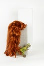 Long red wig cinder block and trex