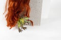 Long red wig cinder block and trex