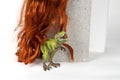 Long red wig cinder block and trex