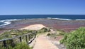 Long Reef Headland at low tide