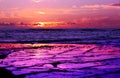 Long Reef Purple Sunrise
