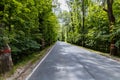 Long road as mountain trail in forest in Walbrzych Mountains Royalty Free Stock Photo