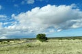 Long road in field to the sky horizon Royalty Free Stock Photo