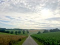 A long road in a landscape of German countryside in Baden-Wurrtemberg, with carriage Royalty Free Stock Photo