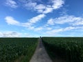 A long road in a landscape of German countryside in Baden-Wurrtemberg, with carriage Royalty Free Stock Photo