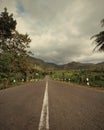 a long road stretches in the middle of village