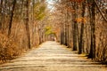 Long Road to Nowhere Royalty Free Stock Photo