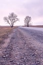 Long road. Trees on roadside Royalty Free Stock Photo