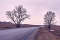 Long road. Trees on roadside Royalty Free Stock Photo