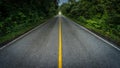 Long road in the tropical national park