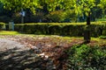 A long rough black footpath through the park covered with fallen autumn leaves surrounded by lush green trees, plants and grass