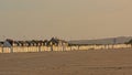 Long row of beach houses on the beach of Calais