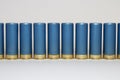 Long Row of Shotgun Shells Blue Royalty Free Stock Photo