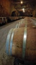 Long row of wooden wine barrels in dimly lit underground cellar Royalty Free Stock Photo