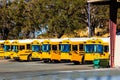 Row Of Yellow School Buses Royalty Free Stock Photo