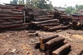 Long rows of cut timber - stock photo