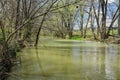 Long Run Creek Royalty Free Stock Photo