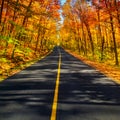 The Long Rural Autumn Road Corridor Royalty Free Stock Photo