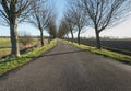 Long rural road with bare trees on both sides Royalty Free Stock Photo