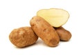 Long russet potato Royalty Free Stock Photo